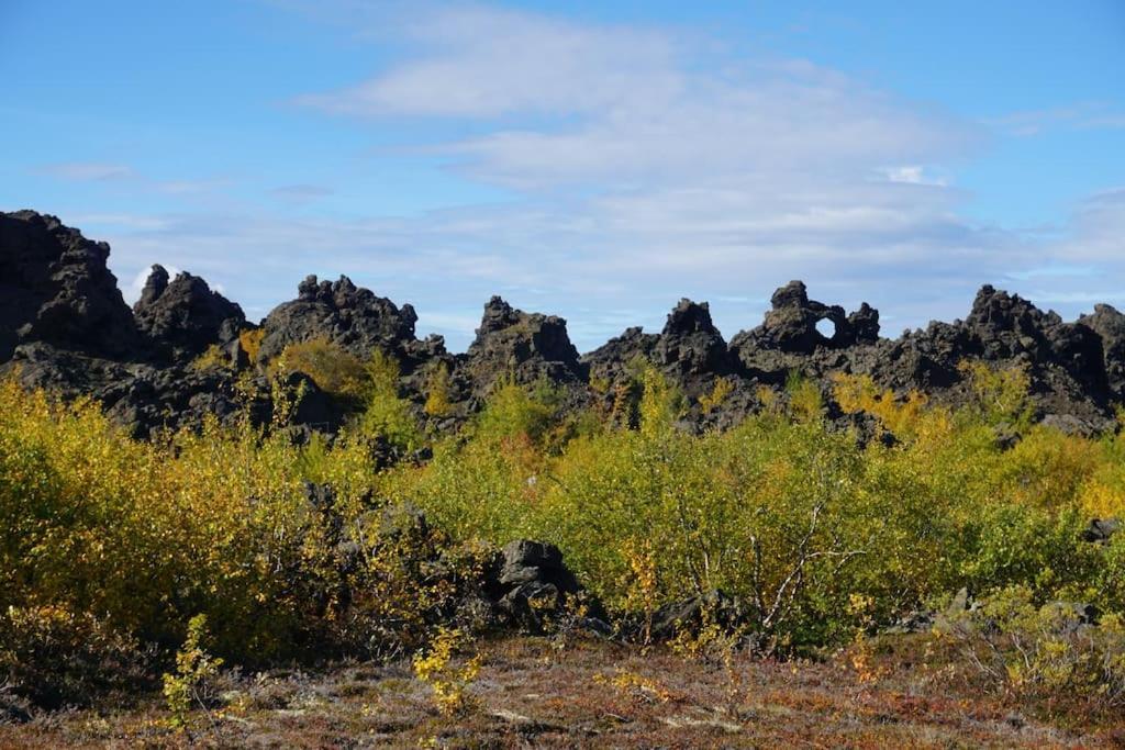 Villa Slow Travel - Oli's Homestay-private House V Myvatn